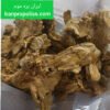 iranpropolis